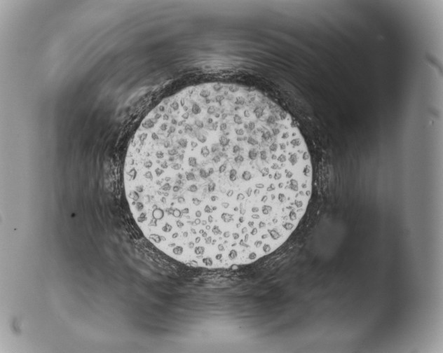 X0000103910917200810171702