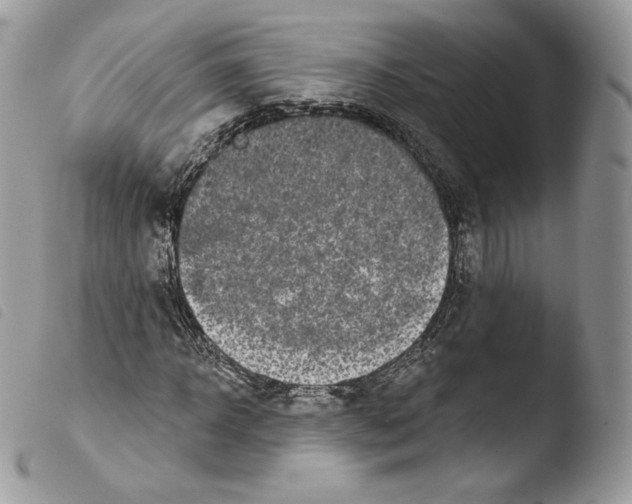 X0000103910918200810171702