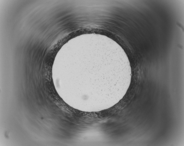 X0000103910919200810171702