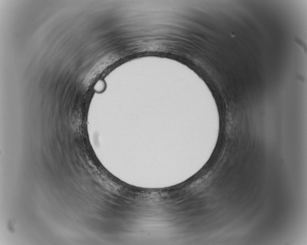 X0000103910922200810171702