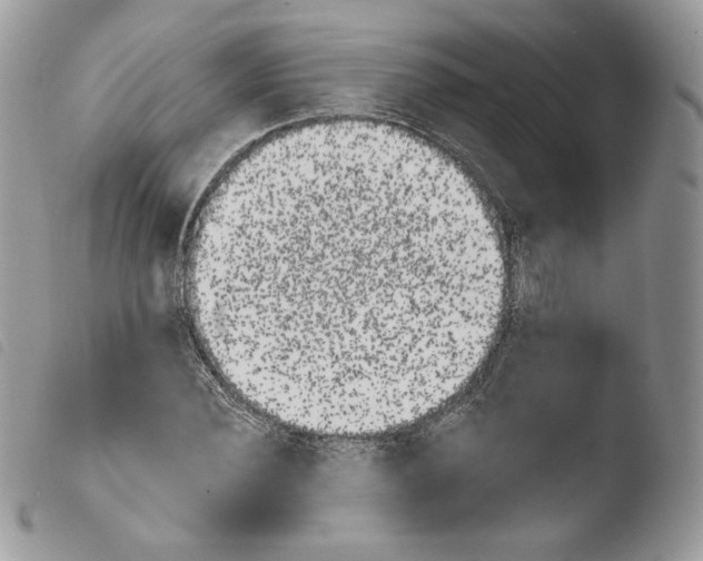 X0000103910924200810171702