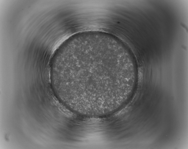 X0000103910925200810171702