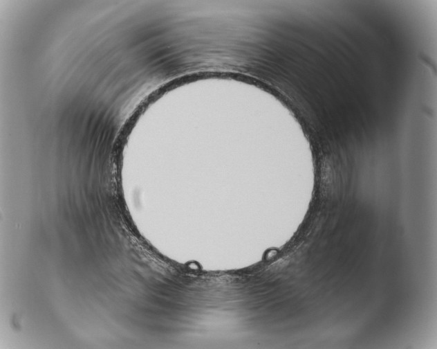 X0000103910926200810171702