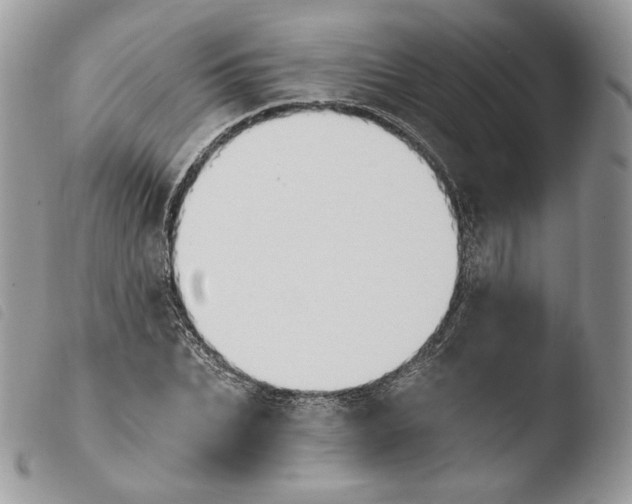 X0000103910927200810171702