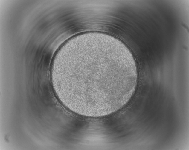 X0000103910928200810171702