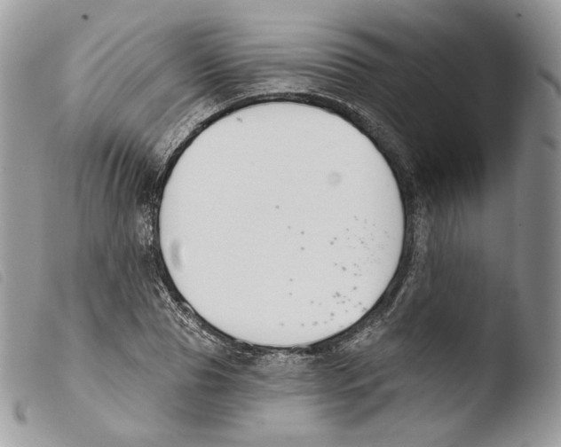 X0000103910929200810171702