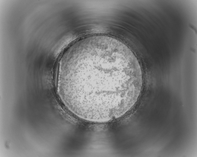 X0000103910930200810171702