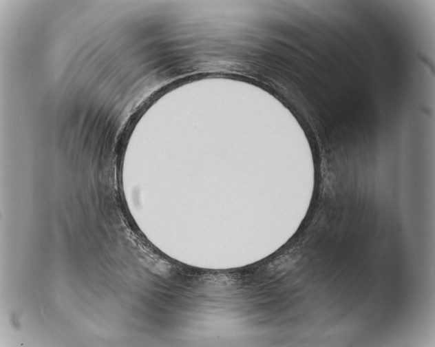 X0000103910931200810171702