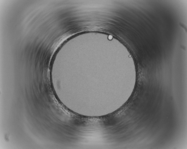 X0000103910932200810171702