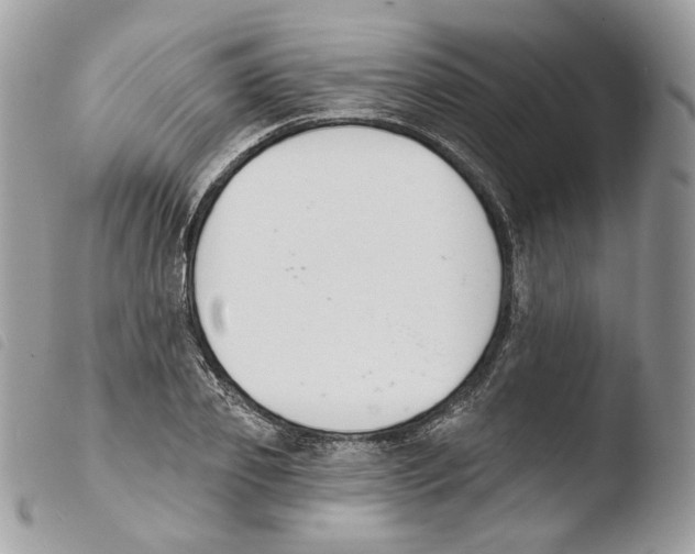 X0000103910933200810171702