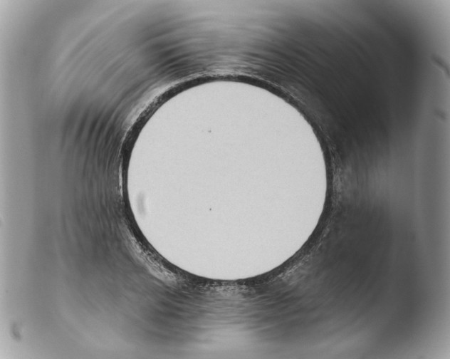 X0000103910934200810171702
