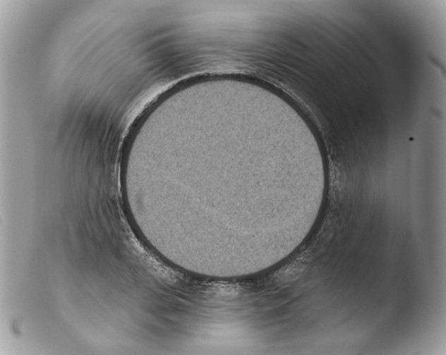 X0000103910935200810171702