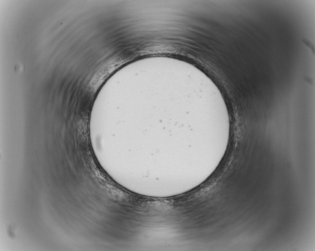 X0000103910937200810171702