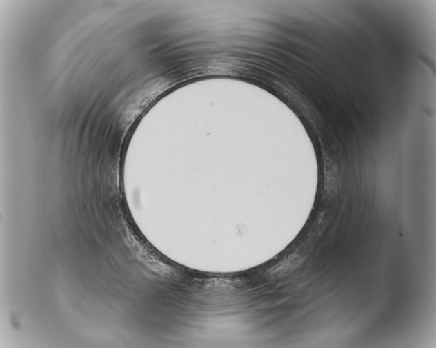 X0000103910938200810171702