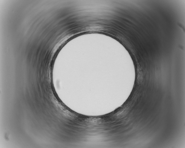 X0000103910939200810171702