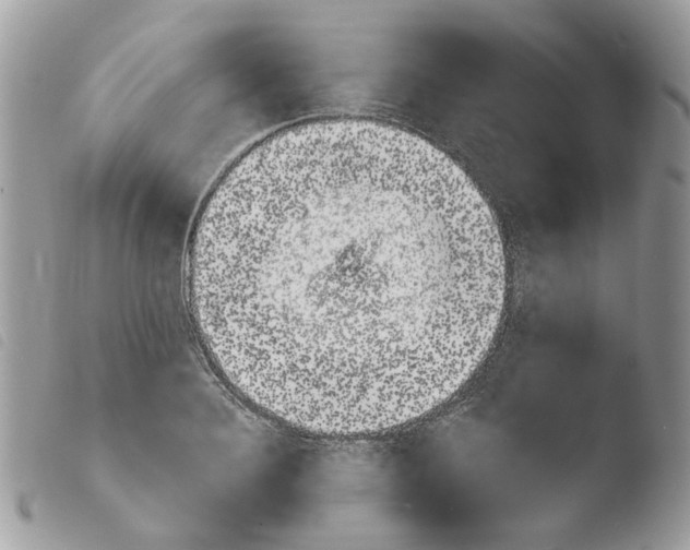 X0000103910940200810171702