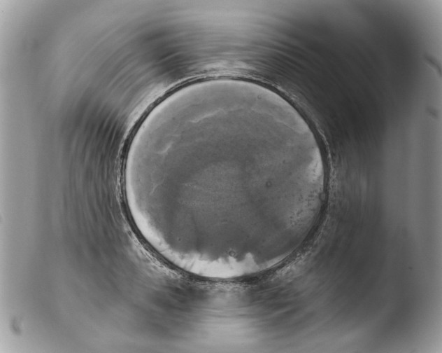X0000103910941200810171702