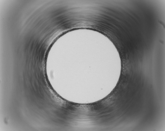 X0000103910942200810171702