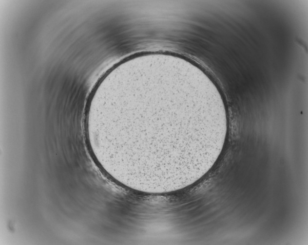 X0000103910943200810171702
