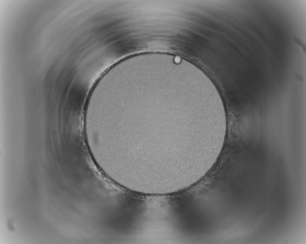 X0000103910944200810171702