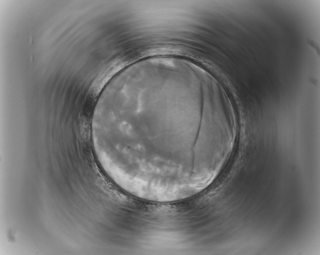 X0000103910945200810171702