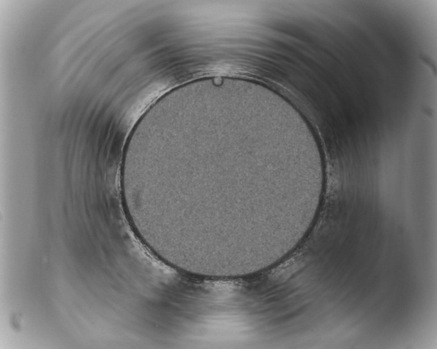 X0000103910946200810171702