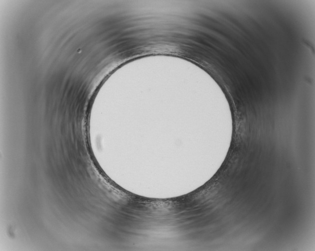 X0000103910947200810171702