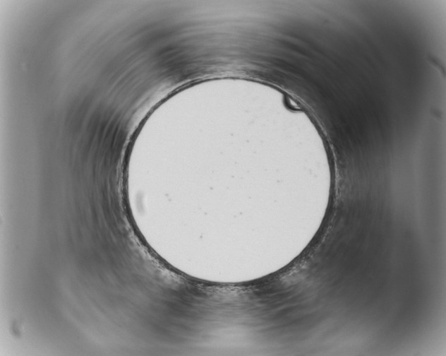 X0000103910949200810171702