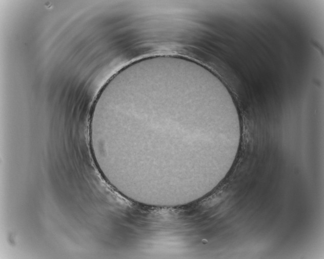 X0000103910950200810171702