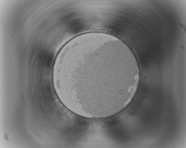X0000103910952200810171702