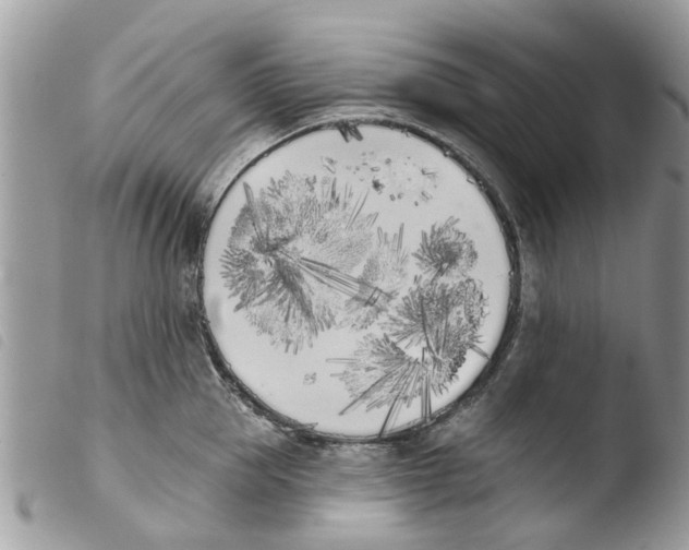 X0000103910953200810171702