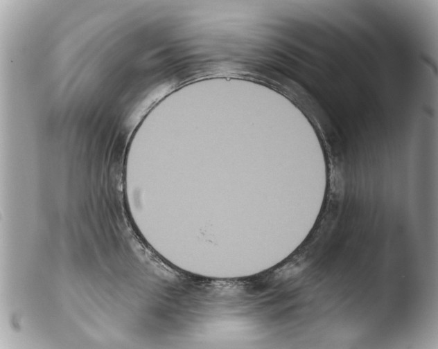 X0000103910954200810171702