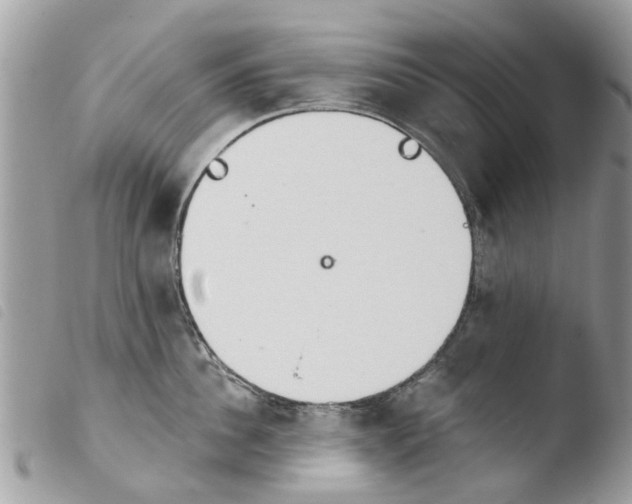 X0000103910956200810171702