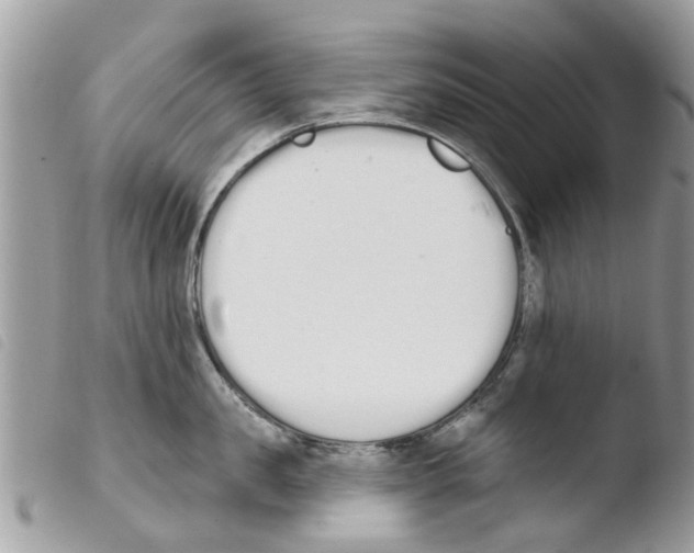 X0000103910957200810171702