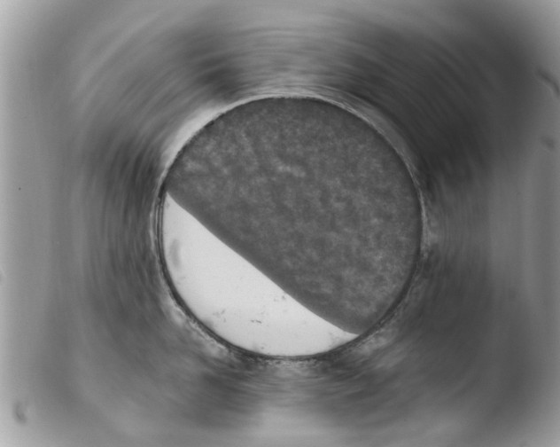 X0000103910958200810171702