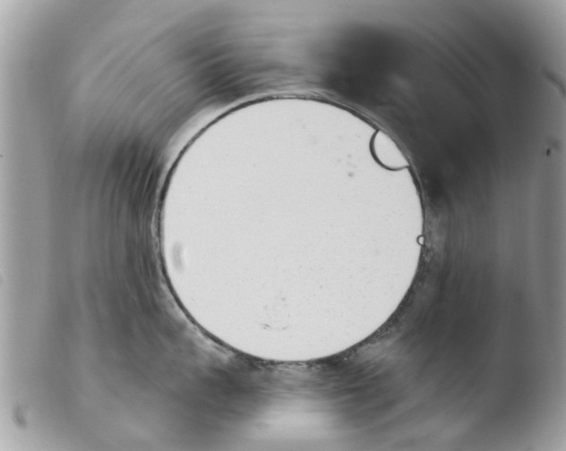 X0000103910959200810171702