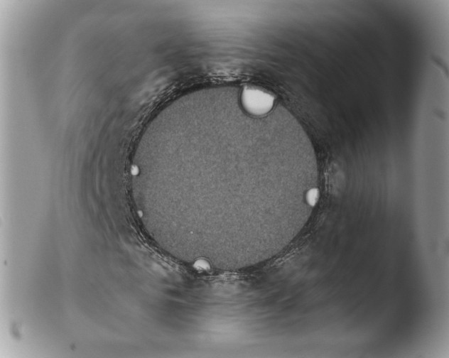 X0000103910961200810171702