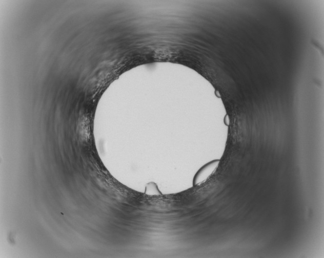 X0000103910962200810171701