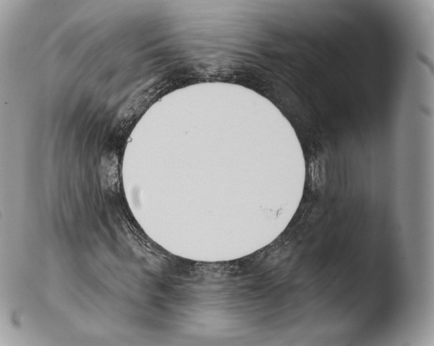 X0000103910963200810171701