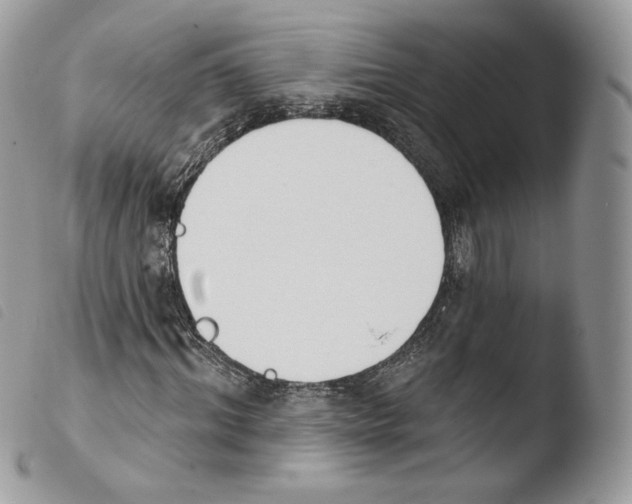 X0000103910964200810171701