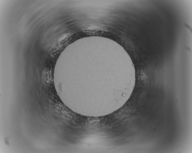 X0000103910965200810171701