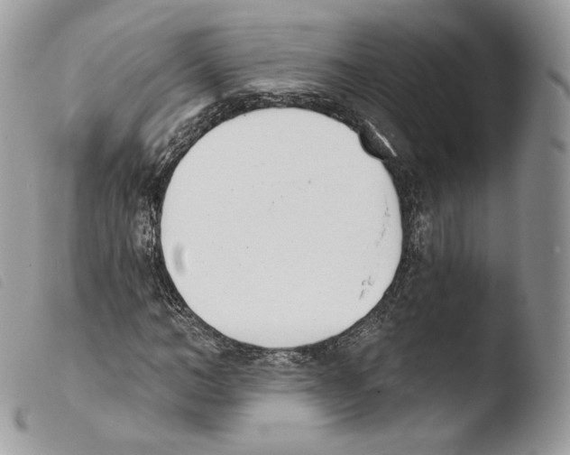 X0000103910966200810171701