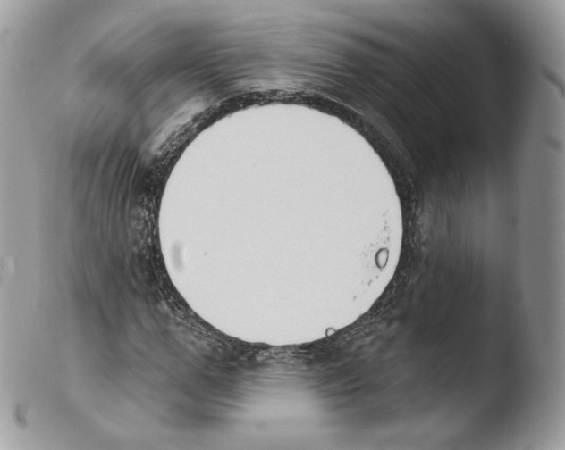 X0000103910967200810171701