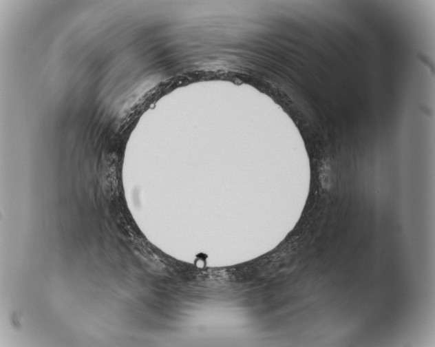 X0000103910968200810171701