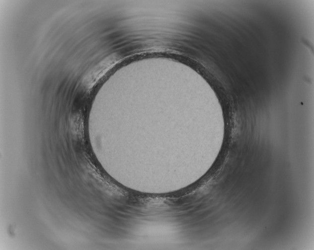 X0000103910969200810171701
