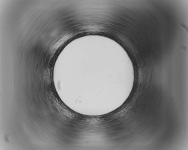 X0000103910970200810171701