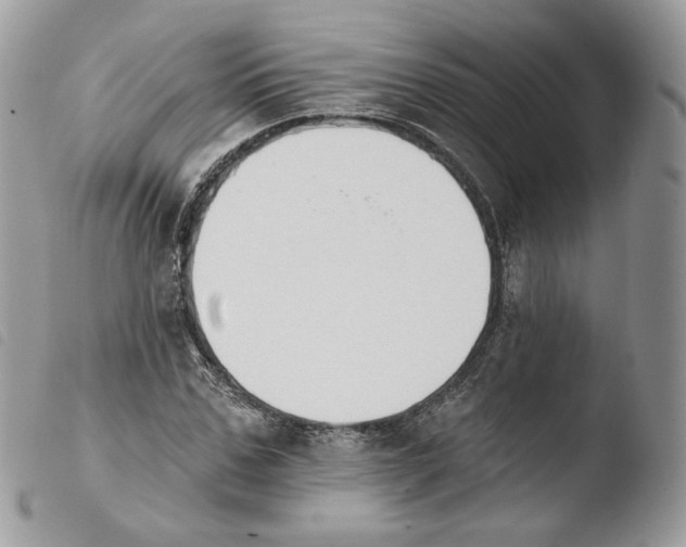 X0000103910971200810171701