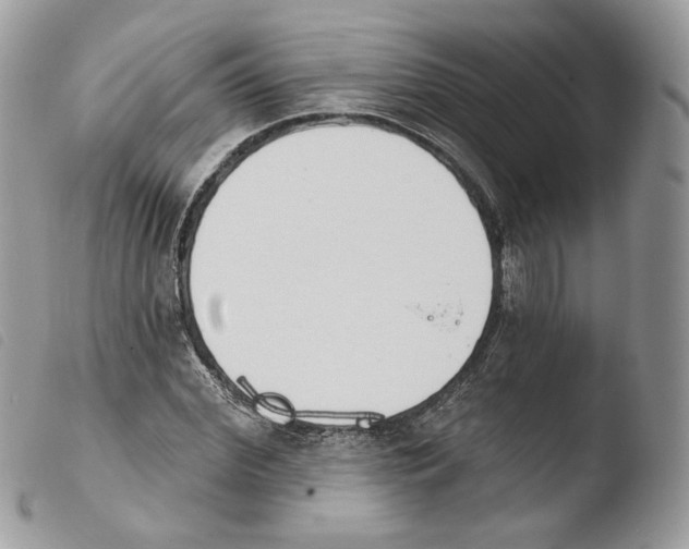 X0000103910972200810171701
