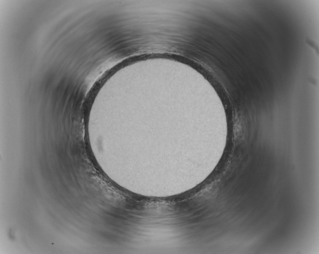 X0000103910973200810171701