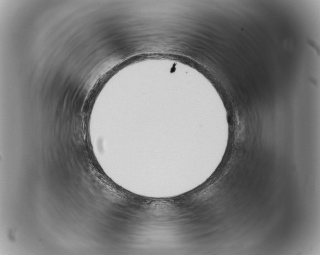 X0000103910974200810171701
